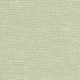 Wire Frame Project Bag